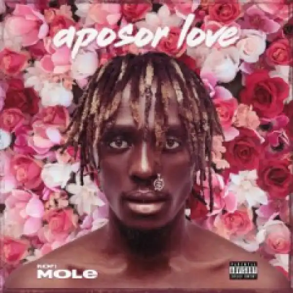 Kofi Mole - Me Ne Woaa